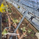 팜모닝 자유주제·자유게시판 게시글 이미지