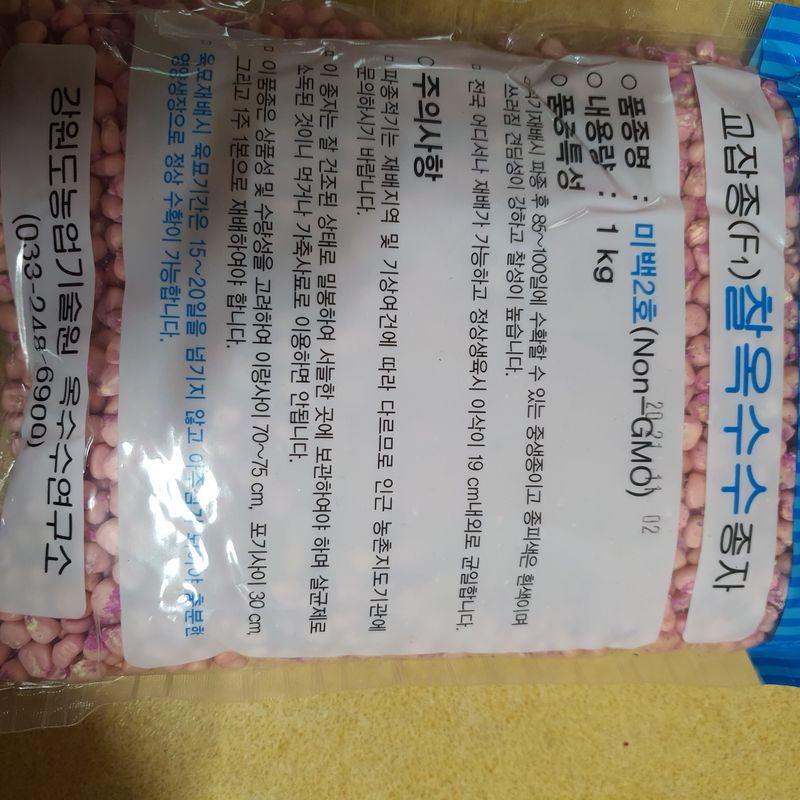 장터 상품 [1kg 찰옥수수종자 미백2호 팝니다] 썸네일