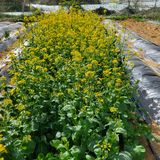 팜모닝 자유주제·자유게시판 게시글 이미지