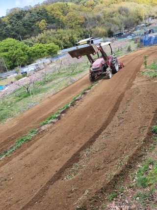 행복하게~님의 자유주제 · 자유게시판 작성글 사진