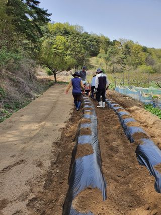 행복하게~님의 자유주제 · 자유게시판 작성글 사진