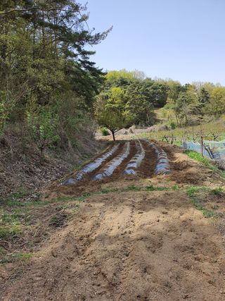 행복하게~님의 자유주제 · 자유게시판 작성글 사진
