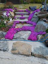 팜모닝 기타작물·자유게시판 게시글 이미지