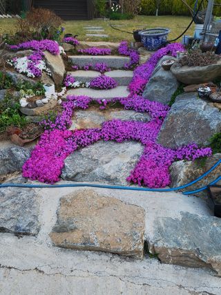 또비님의 기타작물 · 자유게시판 작성글 사진