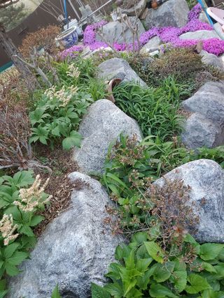 또비님의 기타작물 · 자유게시판 작성글 사진