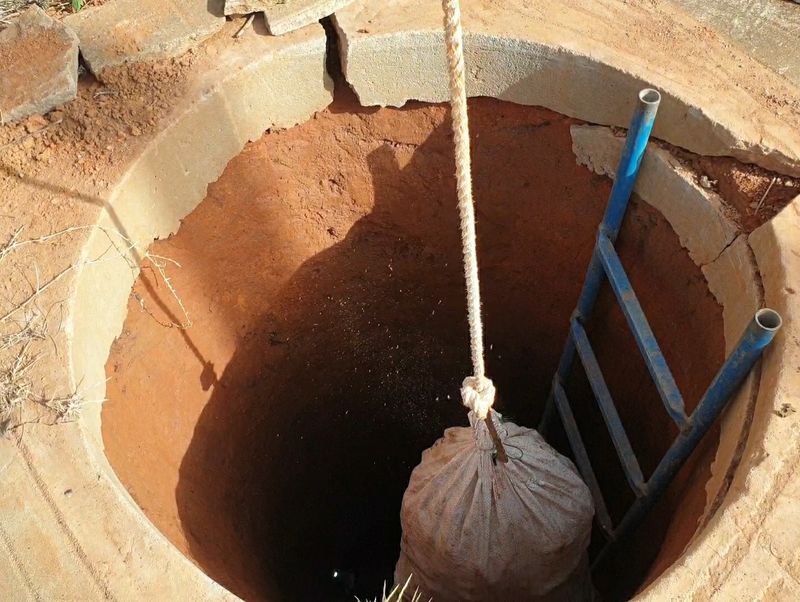 농부아내님의 장터 판매 상품 [[예약주문]명품 유황생강 1kg] 첨부 사진