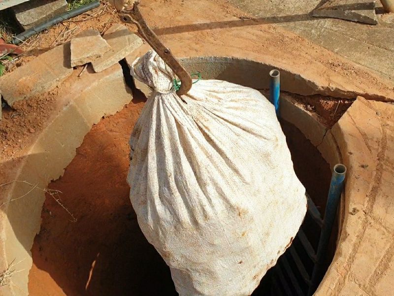 농부아내님의 장터 판매 상품 [[예약주문]명품 유황생강 1kg] 첨부 사진