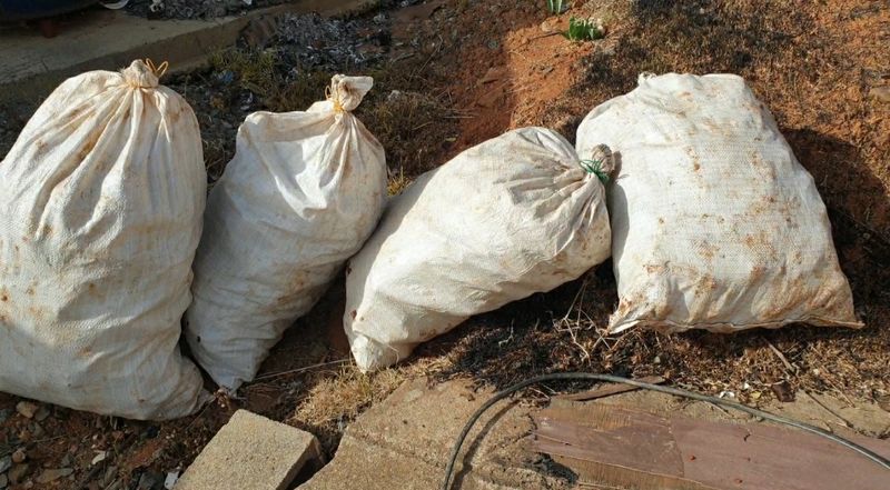 농부아내님의 장터 판매 상품 [[예약주문]명품 유황생강 1kg] 첨부 사진