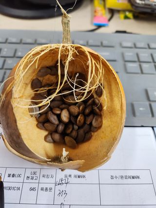 영동포도님의 우리동네 · 무료나눔 작성글 사진