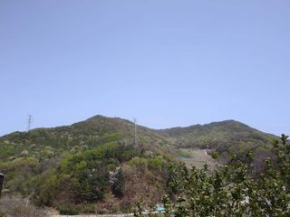 숲등농장 달밭사과님의 사과 · 시세•판로 작성글 사진