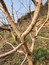 팜모닝 · 게시글 이미지