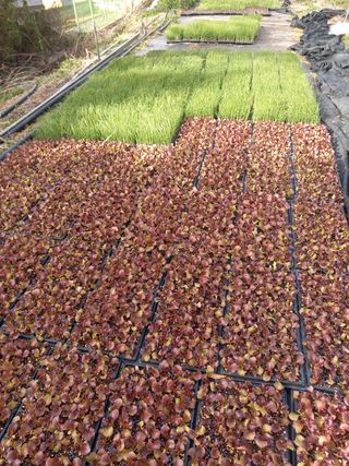 귤7449님의 작성글 사진