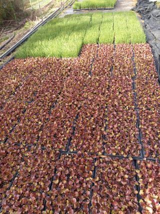 귤7449님의 작성글 사진