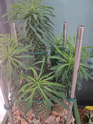 박완순님의 자유주제 · 자유게시판 작성글 사진