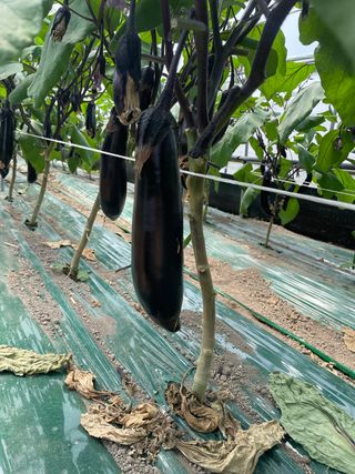 이승하님의 기타작물 · 자유게시판 작성글 사진