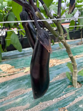 이승하님의 기타작물 · 자유게시판 작성글 사진