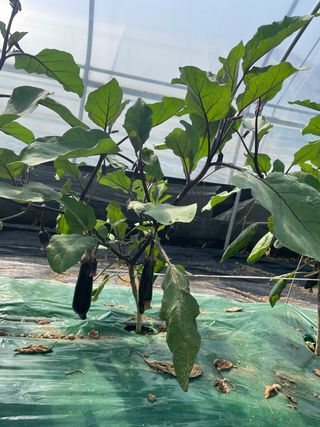 이승하님의 기타작물 · 자유게시판 작성글 사진