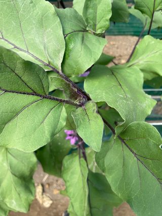 이승하님의 기타작물 · 자유게시판 작성글 사진