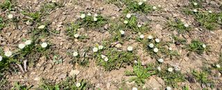 장만월님의 자유주제 · 자유게시판 작성글 사진