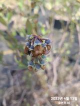 팜모닝 복숭아·자유게시판 게시글 이미지