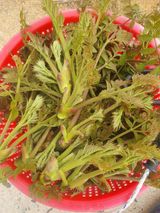 팜모닝 자유주제·사진전 게시글 이미지