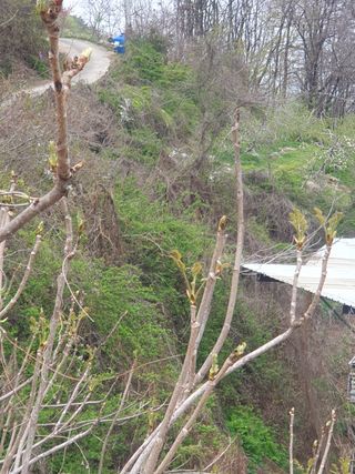 숲등농장 달밭사과님의 자유주제 · 사진전 작성글 사진