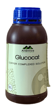 정호영님의 작성글 사진