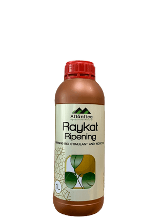 정호영님의 작성글 사진