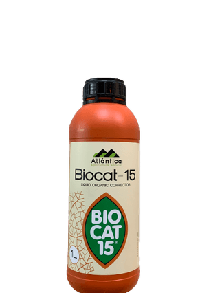 정호영님의 작성글 사진