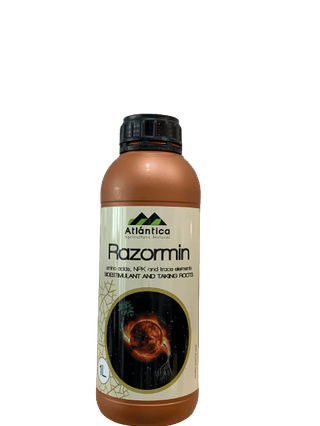 정호영님의 작성글 사진