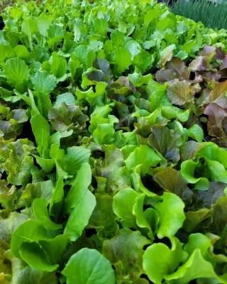 정호영님의 자유주제 · 자유게시판 작성글 사진