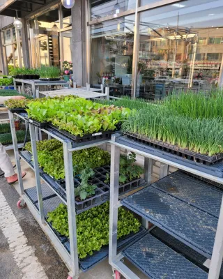 정호영님의 자유주제 · 자유게시판 작성글 사진