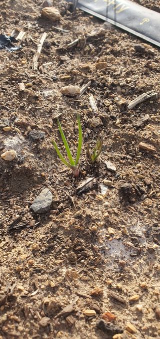 이은하님의 자유주제 · 자유게시판 작성글 사진