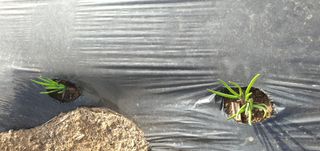 이은하님의 자유주제 · 자유게시판 작성글 사진