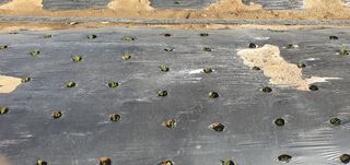 이은하님의 자유주제 · 자유게시판 작성글 사진