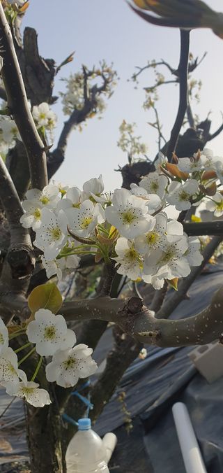 이은하님의 자유주제 · 자유게시판 작성글 사진