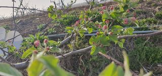 이은하님의 자유주제 · 자유게시판 작성글 사진