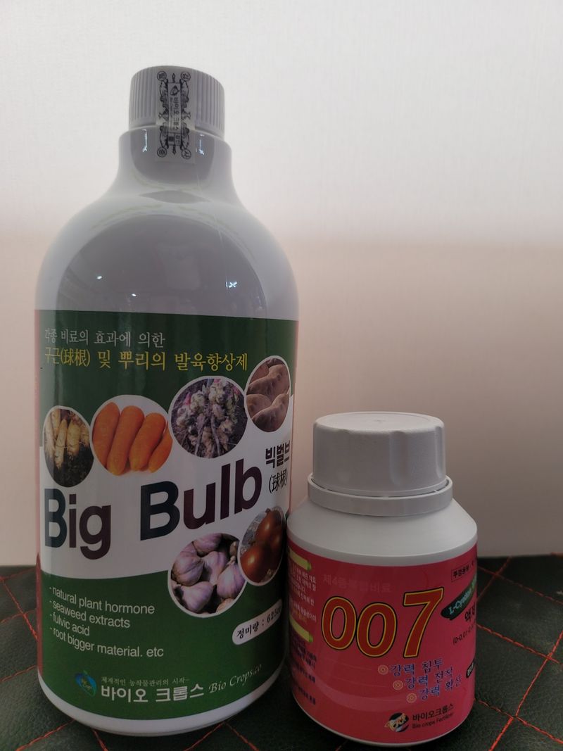 장터 상품 [고추 마늘양파  모든작물 확실한  사이즈 무게증가  ] 썸네일