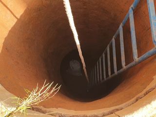 농부아내님의 기타작물 · 자유게시판 작성글 사진