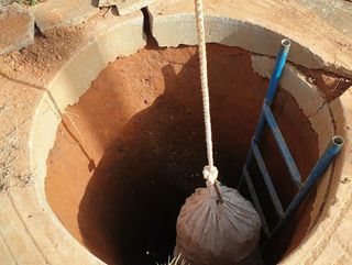 농부아내님의 기타작물 · 자유게시판 작성글 사진