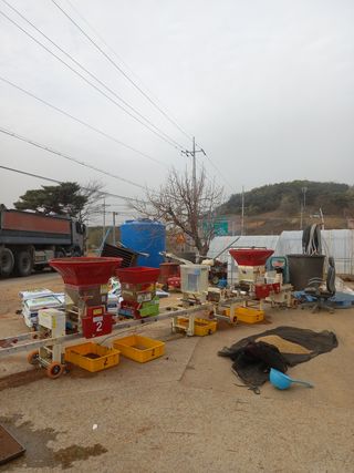 당진수농원박선이님의 자유주제 · 자유게시판 작성글 사진