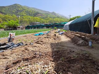 김명웅님의 자유주제 · 사진전 작성글 사진