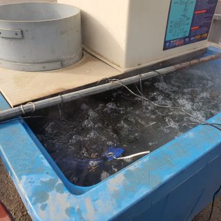 김종은님의 벼 · 자유게시판 작성글 사진