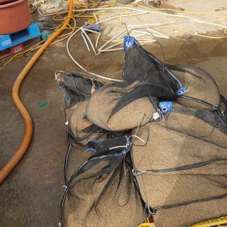 김종은님의 벼 · 자유게시판 작성글 사진