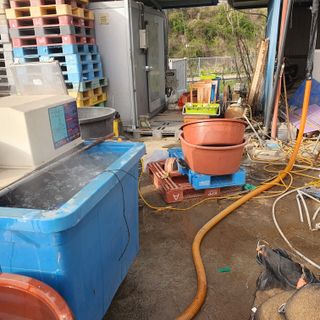 김종은님의 벼 · 자유게시판 작성글 사진