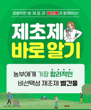 팜모닝님의 자유주제 · 자유게시판 작성글 사진