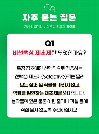 팜모닝님의 자유주제 · 자유게시판 작성글 사진
