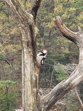 개울건너집님의 자유주제 · 자유게시판 작성글 사진