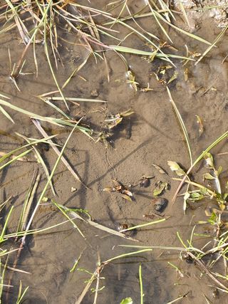 개울건너집님의 자유주제 · 자유게시판 작성글 사진