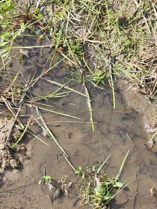 개울건너집님의 자유주제 · 자유게시판 작성글 사진